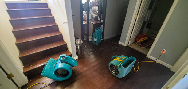 Best Fire Damage Restoration  in Mackinaw, IL