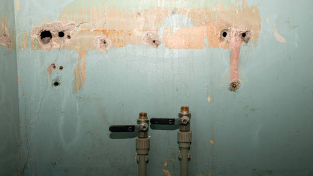 Professional Water damage restoration in Mackinaw, IL